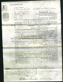 Court of Common Pleas - Sarah Tombs-Original Ancestry