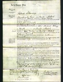 Court of Common Pleas - Catherine Dimmock-Original Ancestry