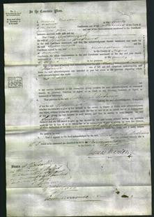 Court of Common Pleas - Sussanah Andrews-Original Ancestry