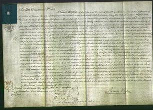 Court of Common Pleas - Mary Ashford and Elizabeth Ashford-Original Ancestry