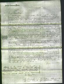 Court of Common Pleas - Ann Fishwick-Original Ancestry