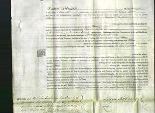 Court of Common Pleas - Ellen Higgins-Original Ancestry