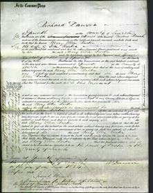 Court of Common Pleas - Mary Ellen Burton-Original Ancestry