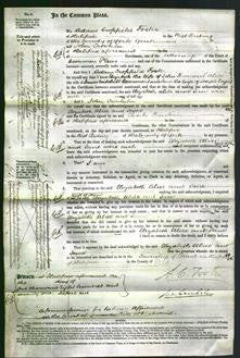 Court of Common Pleas - Elizabeth Townsend, Alice Beaumont and Jane Taylor-Original Ancestry