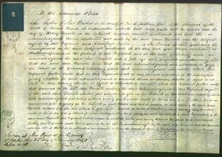 Court of Common Pleas - Ann Darvill-Original Ancestry