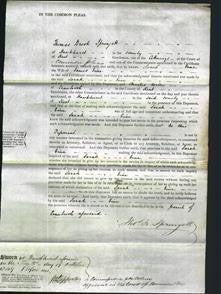 Court of Common Pleas - Sarah Line-Original Ancestry