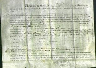 Deed by Married Women - Susan Towler Ellis-Original Ancestry