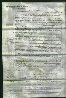 Court of Common Pleas - Helen Pattison Higgin-Original Ancestry