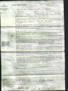 Court of Common Pleas - Elizabeth Brown-Original Ancestry