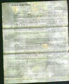 Court of Common Pleas - Susan Towler Ellis-Original Ancestry