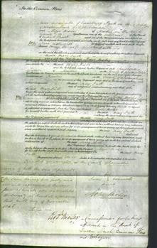 Court of Common Pleas - Mary Frith-Original Ancestry