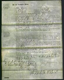 Court of Common Pleas - Ann Parker-Original Ancestry