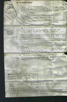 Court of Common Pleas - Caroline Heath-Original Ancestry