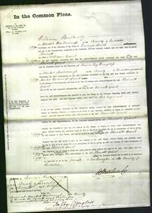 Court of Common Pleas - Harriett Grant-Original Ancestry