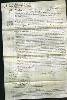 Court of Common Pleas - Clara Swinfen-Original Ancestry