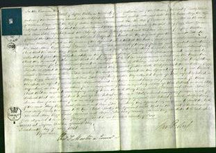 Court of Common Pleas - Mary Biggs, Sarah Clarance and Ann Filch-Original Ancestry