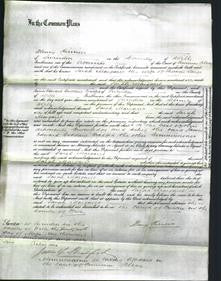 Court of Common Pleas - Sarah Large-Original Ancestry
