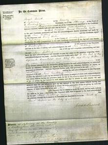 Court of Common Pleas - Ann Suckling Eagles-Original Ancestry