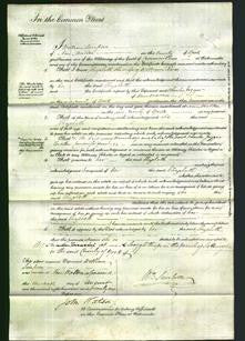 Court of Common Pleas - Elizabeth Rex-Original Ancestry
