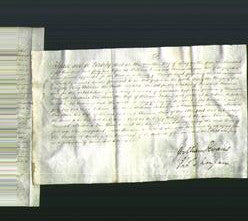 Deed by Married Women - Thomasina Hannah Newtonia Von Burr Fortune-Original Ancestry