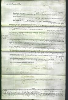 Court of Common Pleas - Catherine Wilson-Original Ancestry