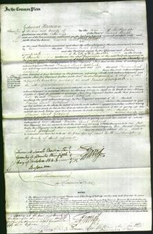 Court of Common Pleas - Frances Sarah Goldfinch-Original Ancestry