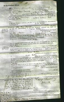 Court of Common Pleas - Betsey Hall-Original Ancestry