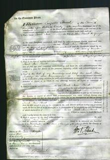 Court of Common Pleas - Sarah Ann Hurst-Original Ancestry