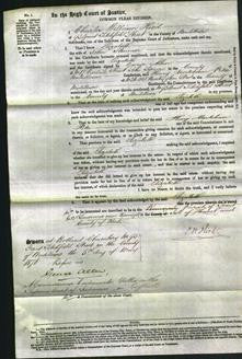 Court of Common Pleas - Elizabeth Skinner-Original Ancestry