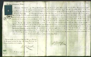 Court of Common Pleas - Ann Brown-Original Ancestry