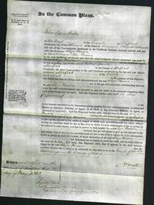 Court of Common Pleas - Eliza Mason-Original Ancestry