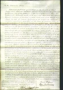 Court of Common Pleas - Sarah Williams-Original Ancestry