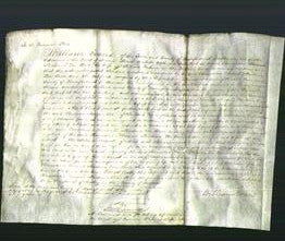 Court of Common Pleas - Thomasina Hannah Newtonia Von Burr Fortune-Original Ancestry