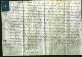 Court of Common Pleas - Emma Brazier-Original Ancestry