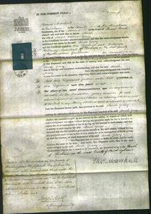 Court of Common Pleas - Sarah Geary-Original Ancestry