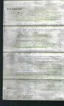 Court of Common Pleas - Elizabeth Platt, Rachel Simpson, Mary Brickles, Leah Walker, Mary Ellison and Martha Grundy-Original Ancestry