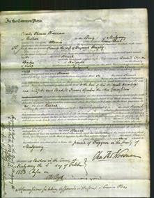 Court of Common Pleas - Hannah Doughty-Original Ancestry