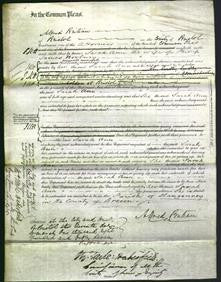 Court of Common Pleas - Ann Norbury-Original Ancestry