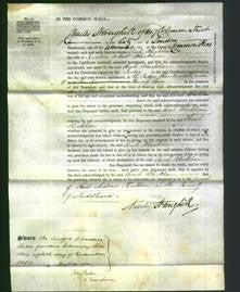 Court of Common Pleas - Sarah Blackham-Original Ancestry