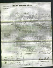 Court of Common Pleas - Jessy Frederica Kennion-Original Ancestry
