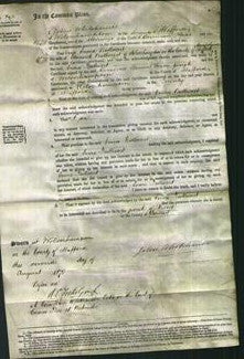 Court of Common Pleas - Emma Bullivant-Original Ancestry