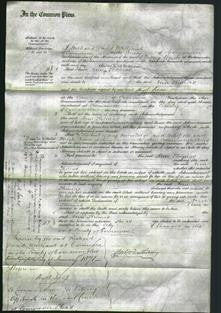 Court of Common Pleas - Ann Thomas-Original Ancestry