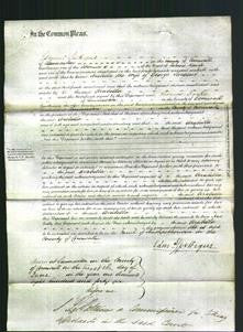 Court of Common Pleas - Arabella Sargent-Original Ancestry