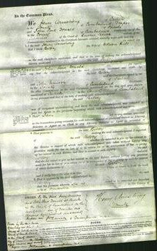 Court of Common Pleas - Betsey Hall-Original Ancestry