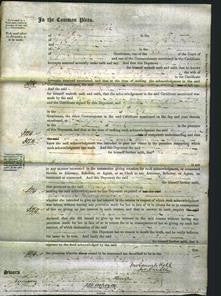 Court of Common Pleas - Mary Riley and Jane Horsfall-Original Ancestry