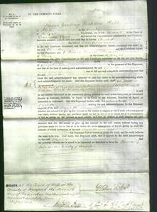 Court of Common Pleas - Elizabeth Brown-Original Ancestry