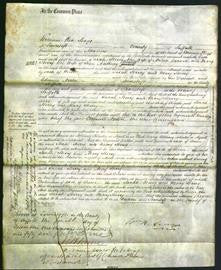 Court of Common Pleas - Sarah Sterry Carver and Mary Sterry Everrett-Original Ancestry