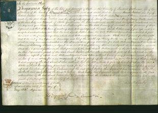 Court of Common Pleas - Sarah Fisher-Original Ancestry