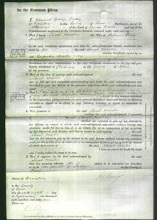 Court of Common Pleas - Sarah Martin-Original Ancestry