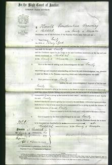 Court of Common Pleas - Emily Izod-Original Ancestry